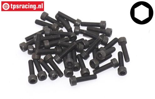 TPSZ340/40Z Pan-Head screw M3-L16 mm, 40 Pcs.
