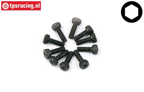 BWS56001 Socket Head Screw M2-L6 mm, 10 pcs