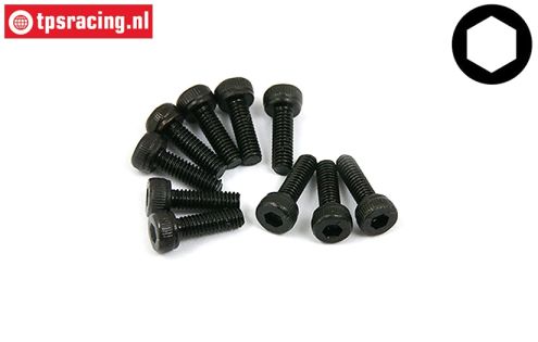 BWS56002 Socket Head Screw M2,5-L8 mm, 10 pcs