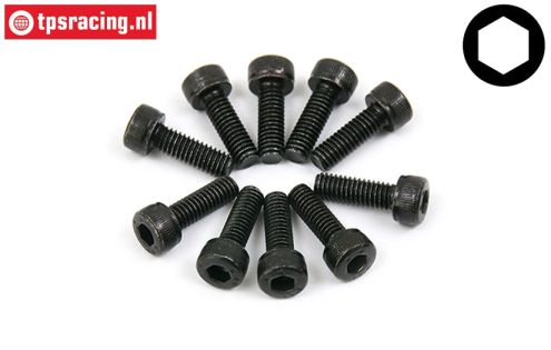 BWS56004 Socket Head Screw M4-L12 mm, 10 pcs