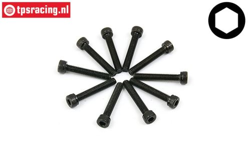BWS56007 Socket Head Screw M4-L25 mm, 10 pcs