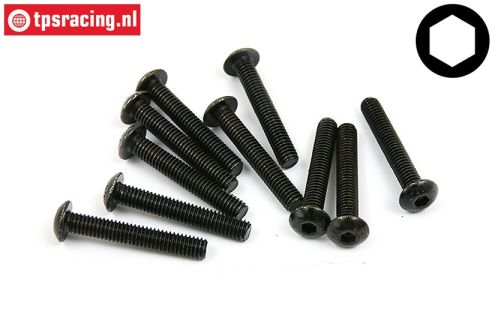 BWS56021 Button Head Screw M4-L25 mm, 10 pcs