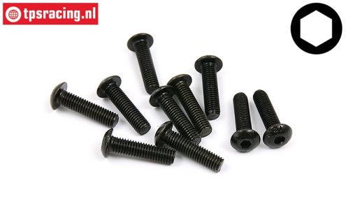 BWS56028 Button Head Screw M5-L20 mm, 10 pcs