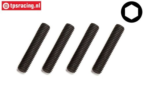 FG6101 Scrub Screw M5-L25 mm, 4 pcs