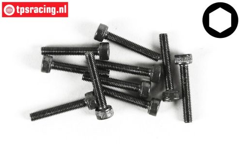 FG6724/20 Socket Head Screw M3-L20 mm, 10 pcs