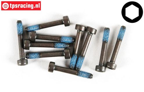 FG6724/21 Socket Head Screw M3-L20 mm Loctite, 10 pcs