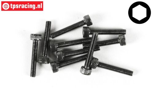 FG6724/25 Socket Head Screw M3-L25 mm, 10 pcs