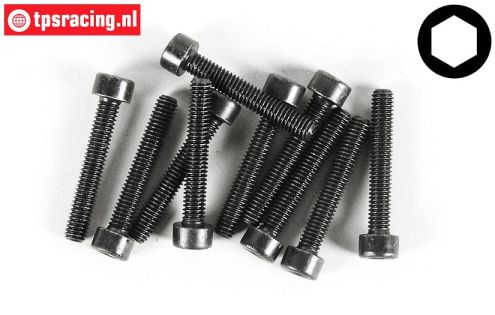 FG6725/25 Socket Head Screw M4-L25 mm, 10 pcs