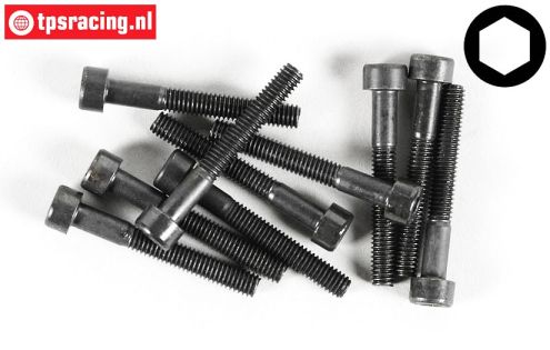 FG6725/30 Socket Head Screw M4-L30 mm, 10 pcs