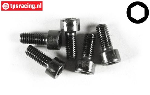 FG6727/14 Socket Head Screw M6-L14 mm, 5 pcs