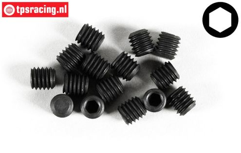 FG6733/06 Scrub Screw M6-L6 mm, 15 pcs