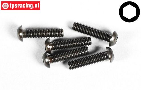 FG6736/25 Button Head Screw M6-L25 mm, 10 pcs