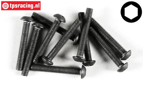 FG6737/20 Button Head Screw M3-L20 mm, 10 pcs