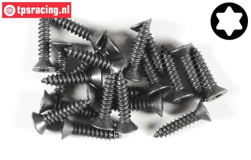 FG6912/19 Torx Countersunk sheet metal Ø4,2-L19 mm, 20 pcs.