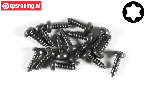 FG6914/09 Torx Button Head sheet metal Ø2,9-L9 mm, 15 pcs.