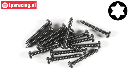 FG6914/19 Torx Button Head sheet metal Ø2,9-L19 mm, 15 pcs.