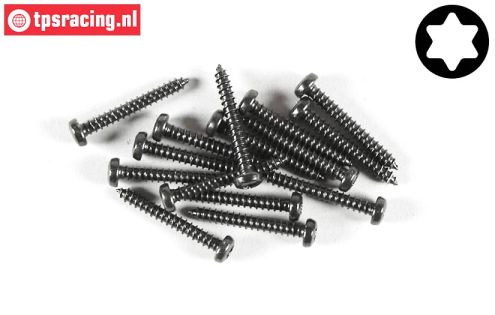 FG6914/22 Torx Button Head sheet metal Ø2,9-L22 mm, 15 pcs.