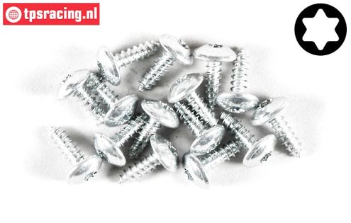 FG6915/09 Torx Button Head sheet metal Ø2,9-L9,5 mm, 15 pcs.