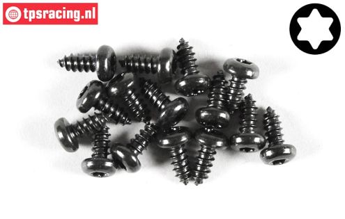 FG6916/09 Torx Pan-Head tapping screw Ø4,2-L9 mm, 15 pcs.