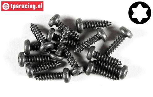 FG6916/13 Torx Pan-Head tapping screw Ø4,2-L13 mm, 15 pcs.