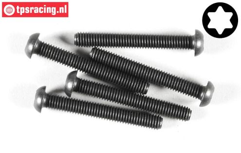 FG6927/45 Torx Button Head screw M6-L45 mm, 5 pcs.