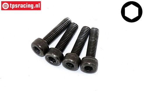 FG9440/13 Magura br. cylinder screw M2,5-L10 mm, 4 pcs.