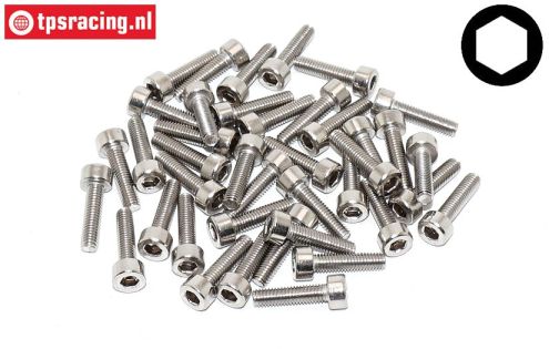 TPSZ340/12 SS Hex Socket-Head M3-L12 mm, 40 pcs.