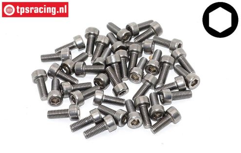 TPSZ340/08 SS Hex Socket-Head M3-L8 mm, 40 pcs.