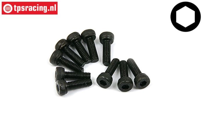 BWS56002 Socket Head Screw M2,5-L8 mm, 10 pcs