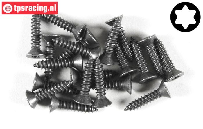 FG6912/19 Torx Countersunk sheet metal Ø4,2-L19 mm, 20 pcs.