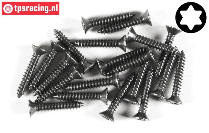 FG6912/25 Torx Countersunk sheet metal Ø4,2-L25 mm, 20 pcs.