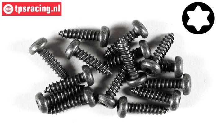 FG6916/16 Torx Pan-Head tapping screw Ø4,2-L16 mm, 15 pcs.