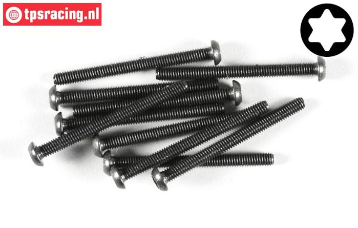FG6925/45 Torx Button Head screw M4-L45 mm, 10 pcs.