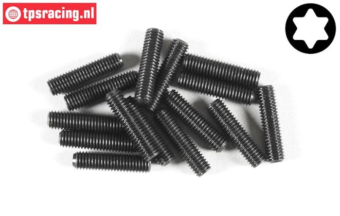 FG6928/20 Torx Grub screw M3-L20 mm, 15 pcs.