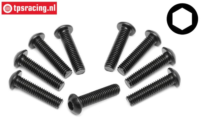 TPS94909 Button Head Screw M6-L25 mm, 10 pcs