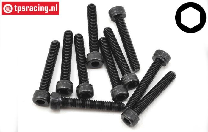 TLR255012 Socket Head Screw M4-L25 mm, 10 pcs