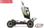 LOS05012T2 LOSI Desert Buggy XLE grijs, 4WD RTR