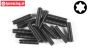 FG6928/20 Torx Grub screw M3-L20 mm, 15 pcs.