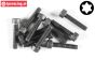 FG6932/16 Torx Socket head screw M4-L16 mm, 10 pcs.