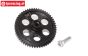 FL054TS-BK X-Rider Flamingo Steel Gear 54T, 1 pc.