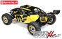 LOS05008T2 LOSI DBXL 2.0 Buggy RTR MAGNAFLOW