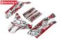 LOS250006 Body LOSI Desert Buggy XL, Set