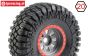 LOS45029 Maxxis Creepy Crawler tyres mounted, 2 pcs.