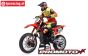 LOS06000T1 Promoto-MX RC Bike Red FXR ARTR