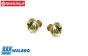 ZN0082 Walbro Carburetor screw, 2 pcs
