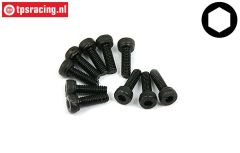 BWS56002 Socket Head Screw M2,5-L8 mm, 10 pcs