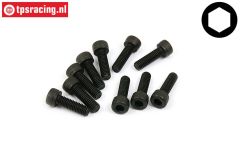 BWS56009 Socket Head Screw M5-L16 mm, 10 pcs