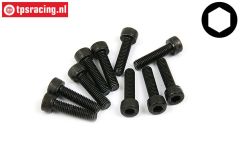 BWS56010 Socket Head Screw M5-L20 mm, 10 pcs