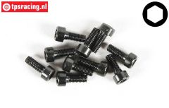 FG6724/06 Socket Head Screw M3-L6 mm, 10 pcs