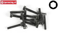 FG6724/20 Socket Head Screw M3-L20 mm, 10 pcs